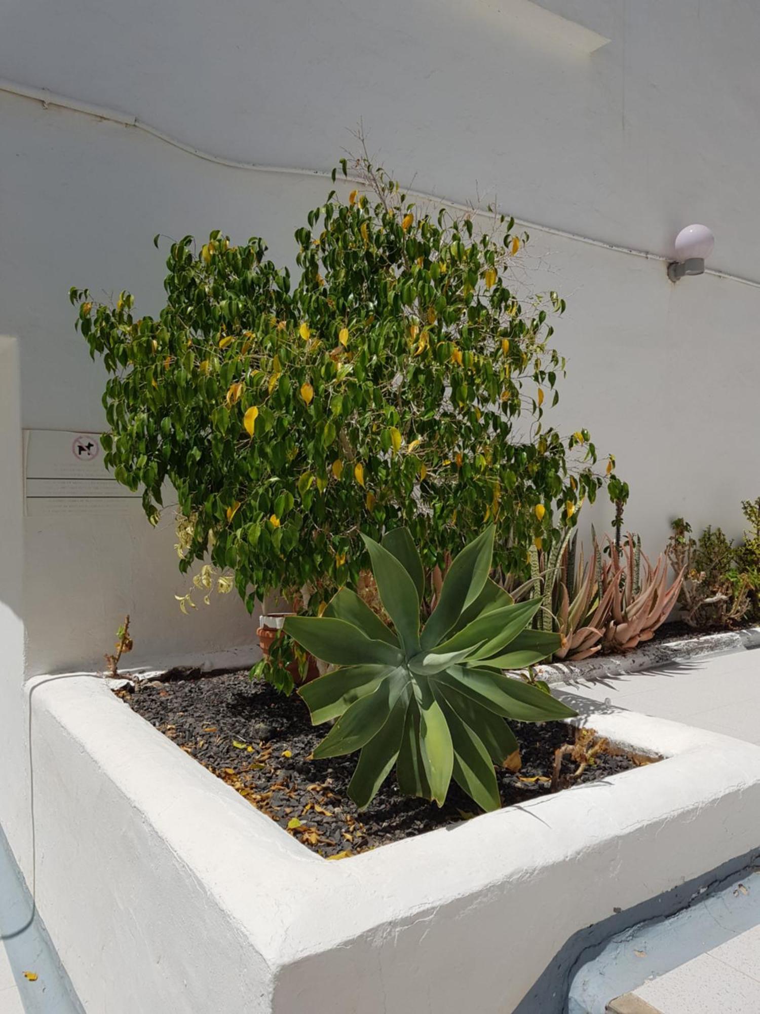 Stunning 2 Bedroom Duplex Close To Main Beach With Seaviews Puerto del Carmen  Exterior foto